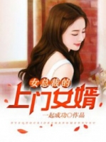 叶凡小说