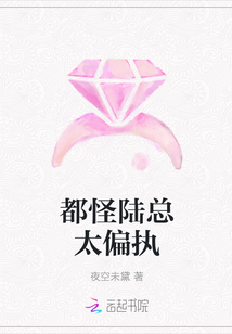 都怪陆总太偏执
