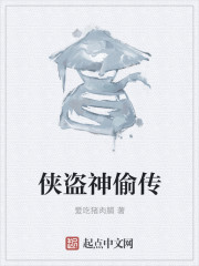 侠盗神偷传