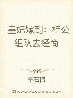 皇妃嫁到：相公组队去经商