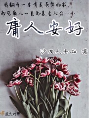 有主角陆鸣的小说