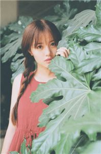 梵星温一言林珊