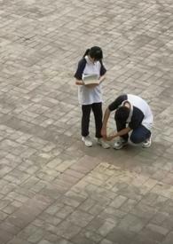 雏菊（师生）